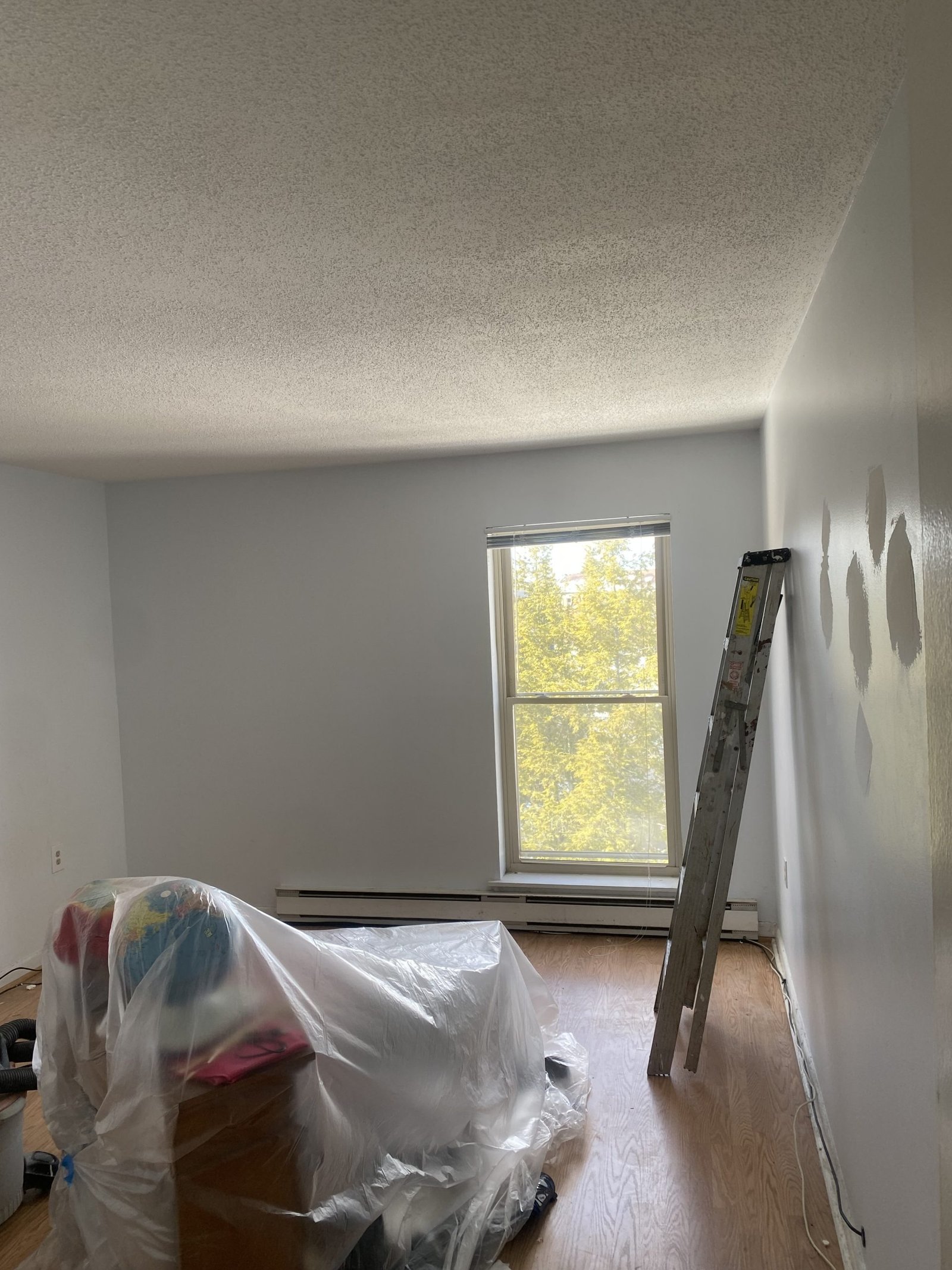 imgi_14_IMG_5518-scaled